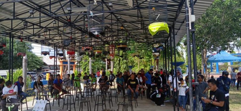 Festival Kicau Mania Lintas Provinsi Perebutkan Piala Gubernur Cup I Sulbar