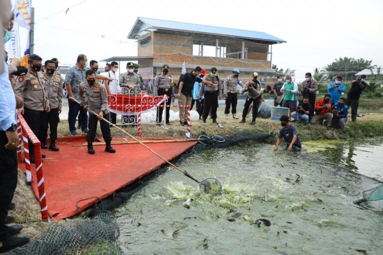 Ketahanan Pangan Nasional, Kabaharkam Polri Tebar 10 Ribu Bibit Ikan di Sergai