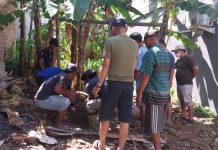 Panitia Pembangunan Masjid Babussalam Mamuju Sembelih Dua Ekor Sapi Kurban