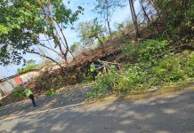 Ditlantas Polda Sulbar Evakuasi Pohon dan Tiang Lampu Tumbang Akibat Hujan Angin